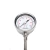 Import Factory Supply High Temperature Pressure Gauge temperature gauge temperature instruments from China