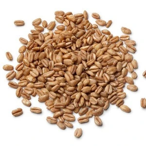 Farro, Wheat, Rice, Quinoa, oat, cereal, Barley, Grains