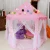 Import Fashion Princess Play Tent Castle Party Tent For Kids from China