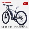 FRANFUN/OEM electric pedelec 29 inch mid drive electric road bicycle