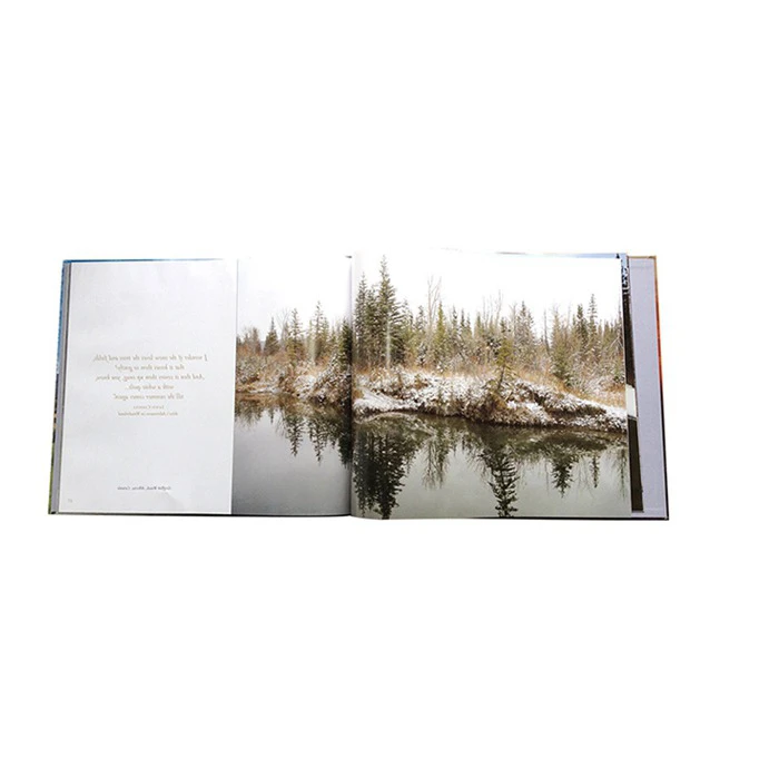 Free design high quality hardcover photography printing photo book