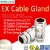 Import Free Sample IEC Atex ip68 Certified Nickel plated explosion proof double seal armored cable gland Factory from China