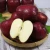 Import fresh apples exporters High quality fresh red delicious fruit huaniu apples from China