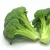 Import Fresh Broccoli Wholesale Prices / Export Price Of Broccoli / Fresh Ukraine Broccoli from Belgium