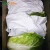 Import Fresh celery chinese certified dehydrated cabbage from China