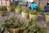 FRESH CUT MONTHONG DURIAN PACKED SIZE L, READY TO EAT, THAILAND