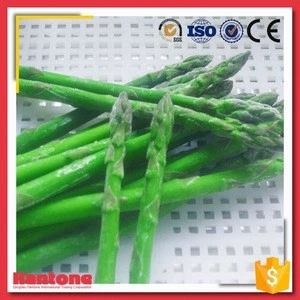Fresh Dried Freeze Asparagus