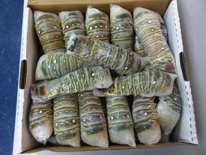 Fresh , Frozen and Live Lobsters