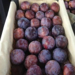 Fresh Plums