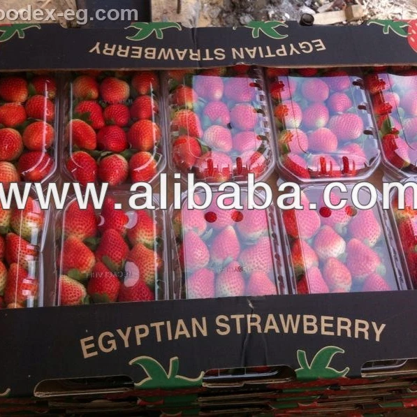 Fresh Strawberry, Fresh Berries , fresh style Berries,