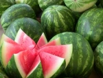 Fresh Sweet Watermelons from South Africa Premium Grade