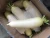 Import Fresh white radish from China