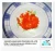 Import Frozen Seasoned Flying Salted Fish Roe from China
