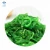 Import Frozen Seasoned Seaweed Salad from China