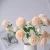 Import Fuyuan Decorative Flowers Artificial 3 Heads Silk Peony Flower Spray for Wedding, Home, Table, Indoor Decoration from China