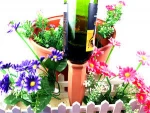 Garden Automatic Plant Self Drip Watering Irrigation Spikes