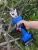 Import garden scissors hedge shears/ electric tree pruner from China