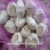 Import garlic fresh price from fresh jining garlic/ajo chino china garlic from China