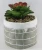 Import Geometric Ceramic Planter Ceramic Garden Flower Pots White and Grey from China
