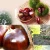 Import good factory price hebei qinglong chestnut from China