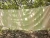 Import Handloom Bedspreads Double-All colours-Green from India
