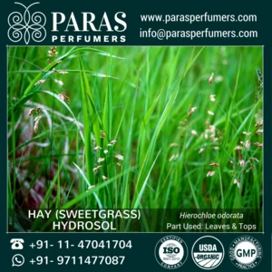 Hay (Sweetgrass) Hydrosol , Natural Organic at wholesale bulk price