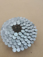 HDG  COIL ROOFING NAILS