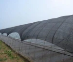 hdpe uv sun shade net/agriculture black shade net greenhouse/50% green house shade net price