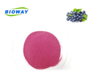 Health Pure Natural Organic blueberry powder