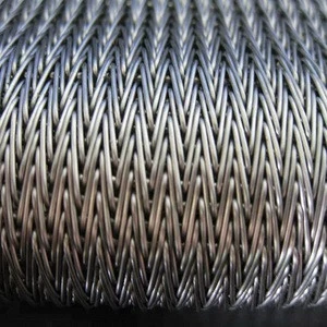 Heat Resistance Stainless Steel Chain Wire Mesh Conveyor Belt