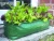 Heavy Duty PE Fabric Garden Planting Grow Bag