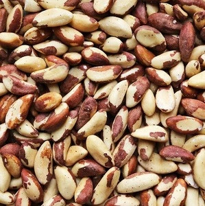 High Quality Brazil Nuts