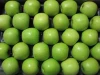 High Quality Fresh GREEN Golden Delicious Apples
