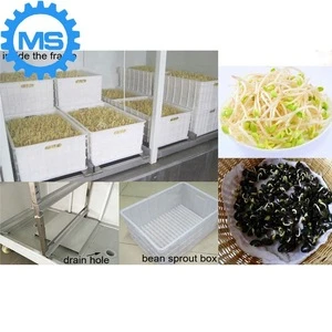 High quality growing bean sprouts Automatic bean sprout machine for bean sprouts