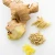 Import High quality new crop fresh ginger from USA