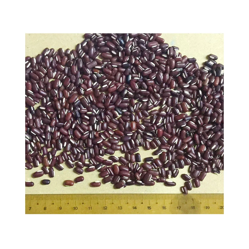 High Quality Red Bamboo Beans From Myanmar