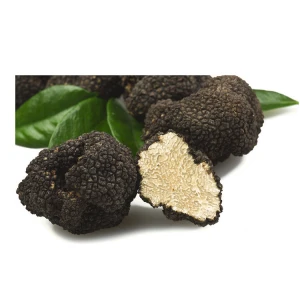 High Quality Whole Fresh Wild Black Truffles Mushroom For Sale