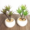 Highly realistic small size artificial plants potted succulents for indoor decoration