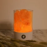 Himalayan Salt Lamps Natural Pink Crystal Salt LED Night Light USB Himilian Rock Salt Lamp