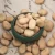 Import Hot sale Dry Broad Beans Fava Beans Horse Beans in bulk from China