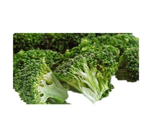Hot sale healthy freeze dried vegetable freeze dried broccoli