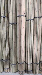 Hot sale yellow bamboo pole/Decorative Natural Dry bamboo poles/ bamboo pole from Viet Nam