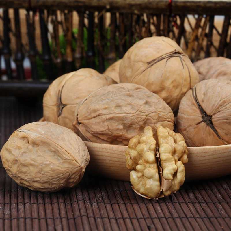 Hot selling organic walnut with lowest price