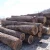 Import Hot selling tali pine ash log wood for guitar from China