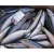 Import Huiyang Seafood High Protein Frozen Raw Fresh Fish Mackerel from China