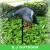 Import Hunting duck decoy electric duck decoy with motor hunting decoy from BJ Outdoor from China