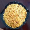 hybrid chili seeds with cheap price