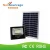 Import IP66 30W 50W 100W Outdoor Mini Rechargeable Solar LED Flood Light from China