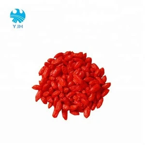 IQF wolfberry frozen goji berries/wolfberry price/the fruit of chinese wolfberry