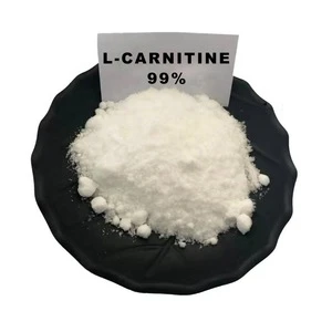 L-carnitine powder Slim fit patch weight loss